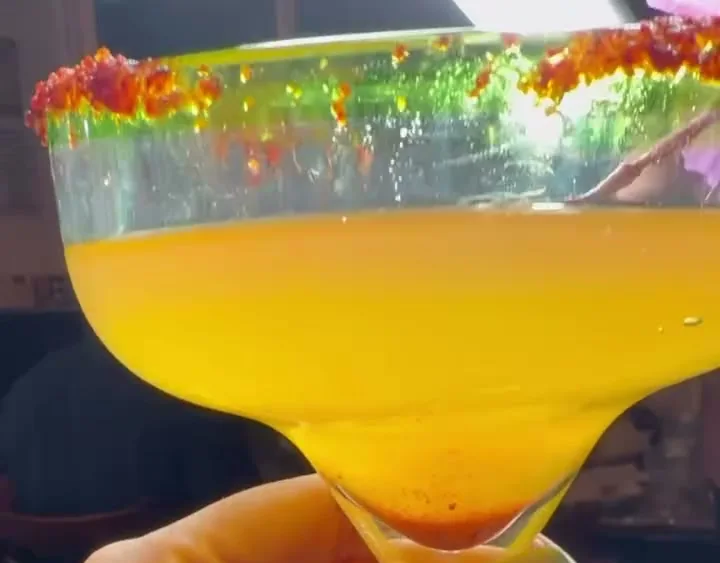 A frozen fruit margarita in a salt-rimmed coupe glass, served at Autentica Taqueria